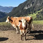 Feldkasten By Interhome Wildschoenau