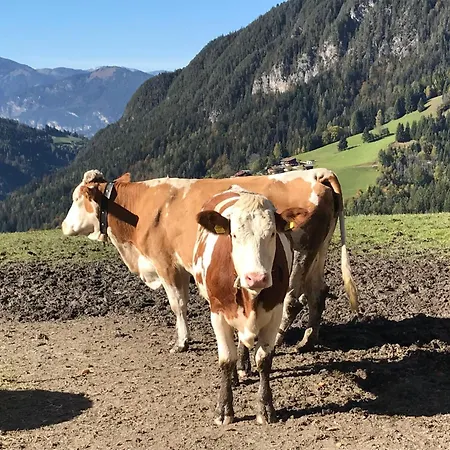 Feldkasten By Interhome فيلدشوناو