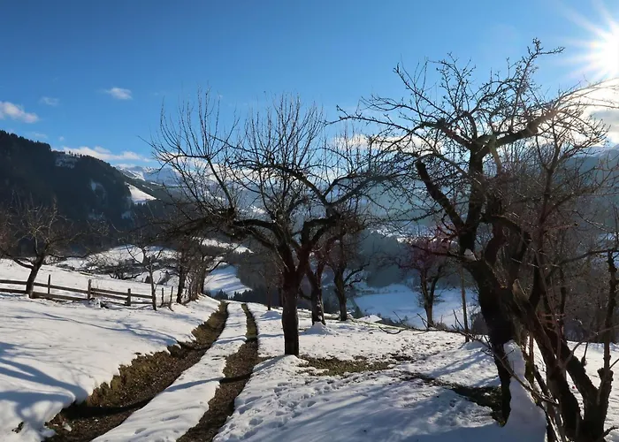 Alpesi faház Feldkasten By Interhome